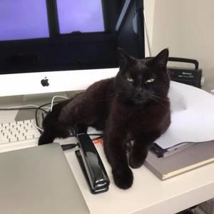 Meet your Posher, Mallory